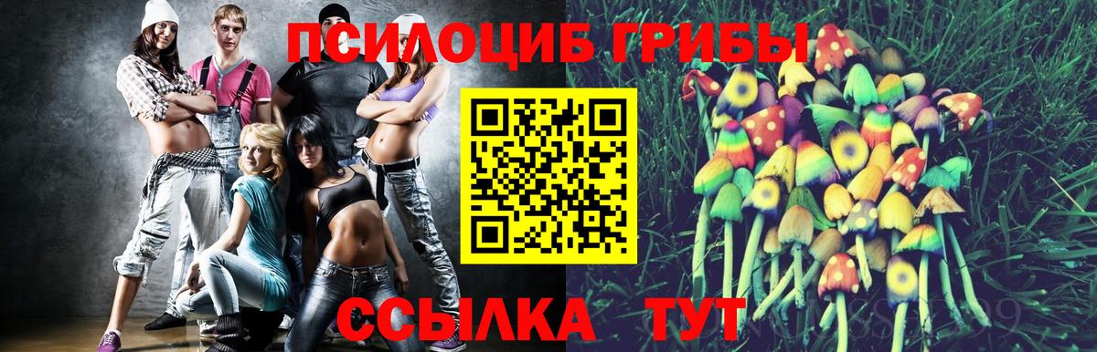 дарнет шоп  Галлюциногенные грибы ЛСД  Каменск-Уральский  Вход с VPN  Галлюциногенные грибы ЛСД 